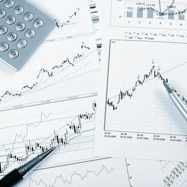 Consultoría Económica