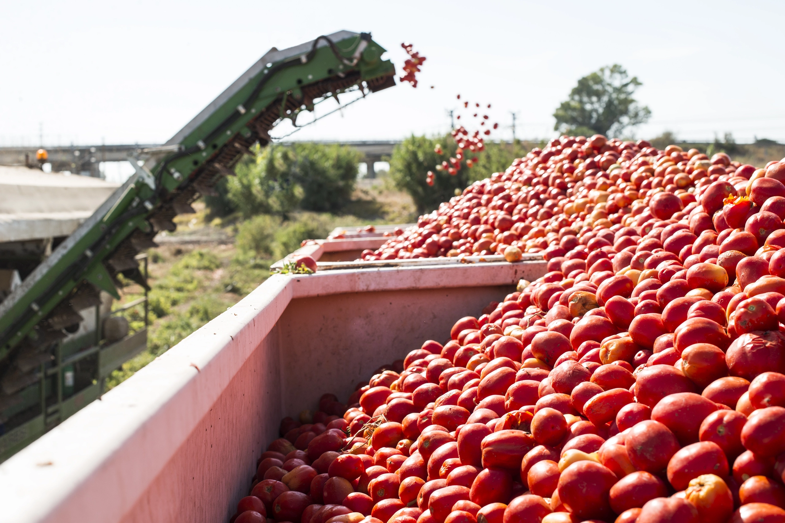 Agronegocios exportación frutícola Chile